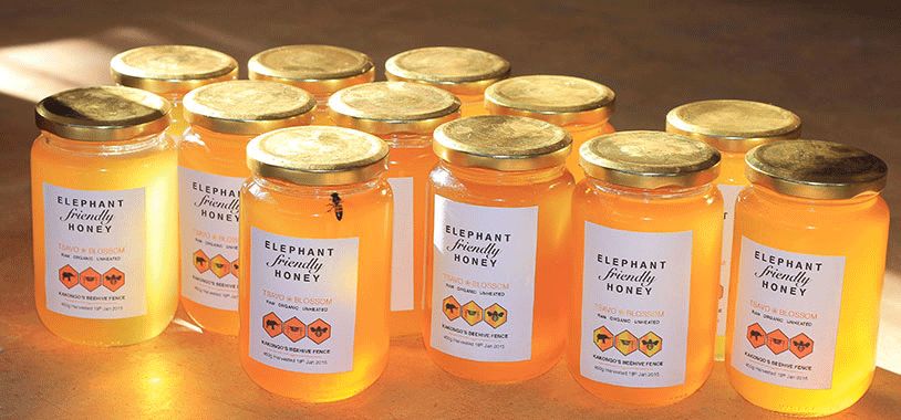 跟刘昊然在非洲过了6天5夜,发现他其实就是个话痨加多动症啊……