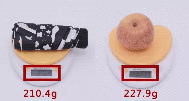 无论晴天雨天，巴掌长的它比你男朋友实用贴心！