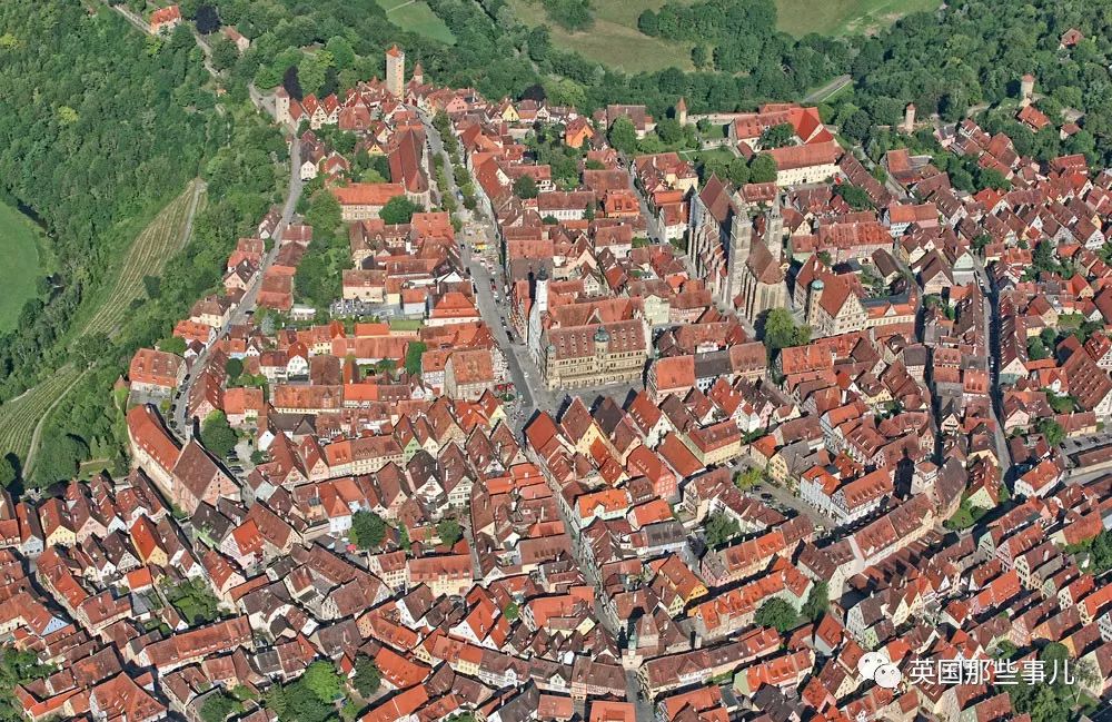 棕熊参军打仗，猫咪击败一支*队军**...真实的历史故事比小说脑洞更大