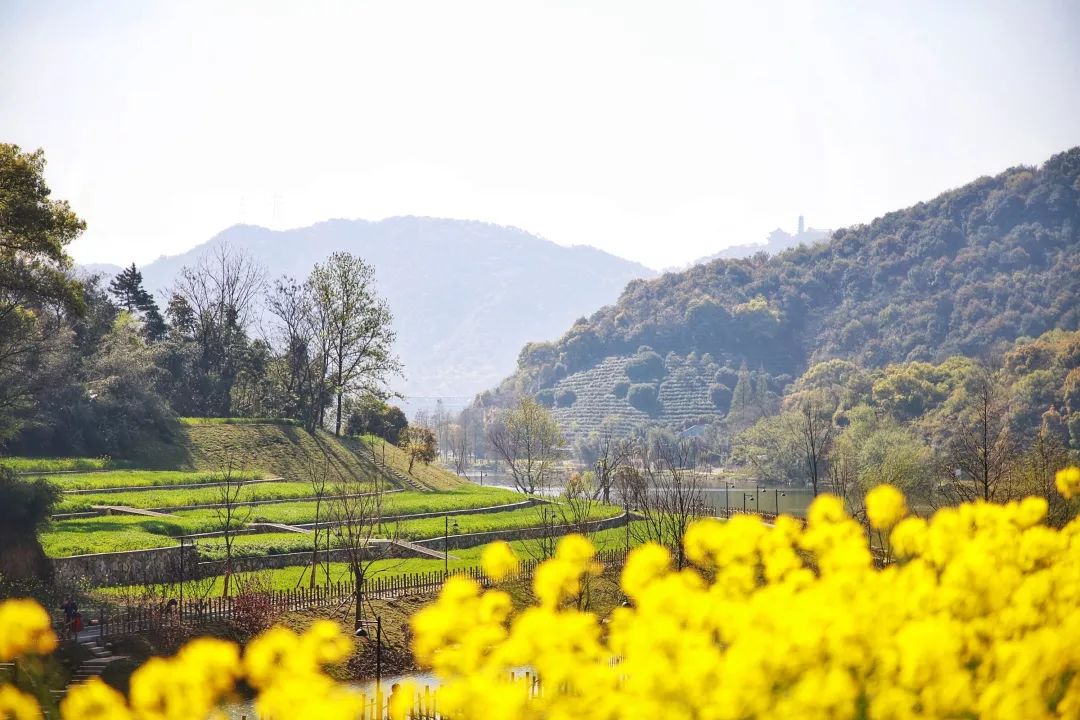 滨江区白马湖,白马湖的传说