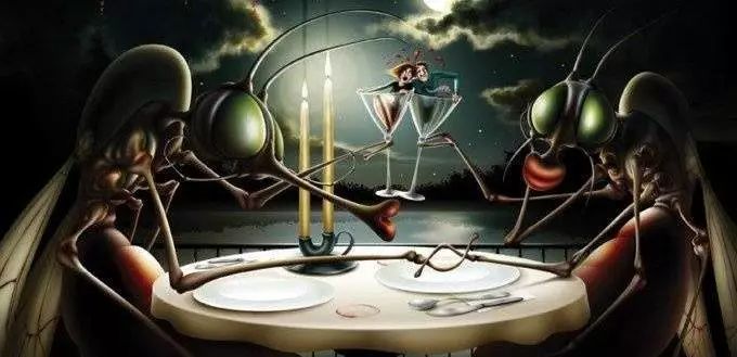 蚊子驱蚊驱虫,杀虫剂对蚊子有效又安全