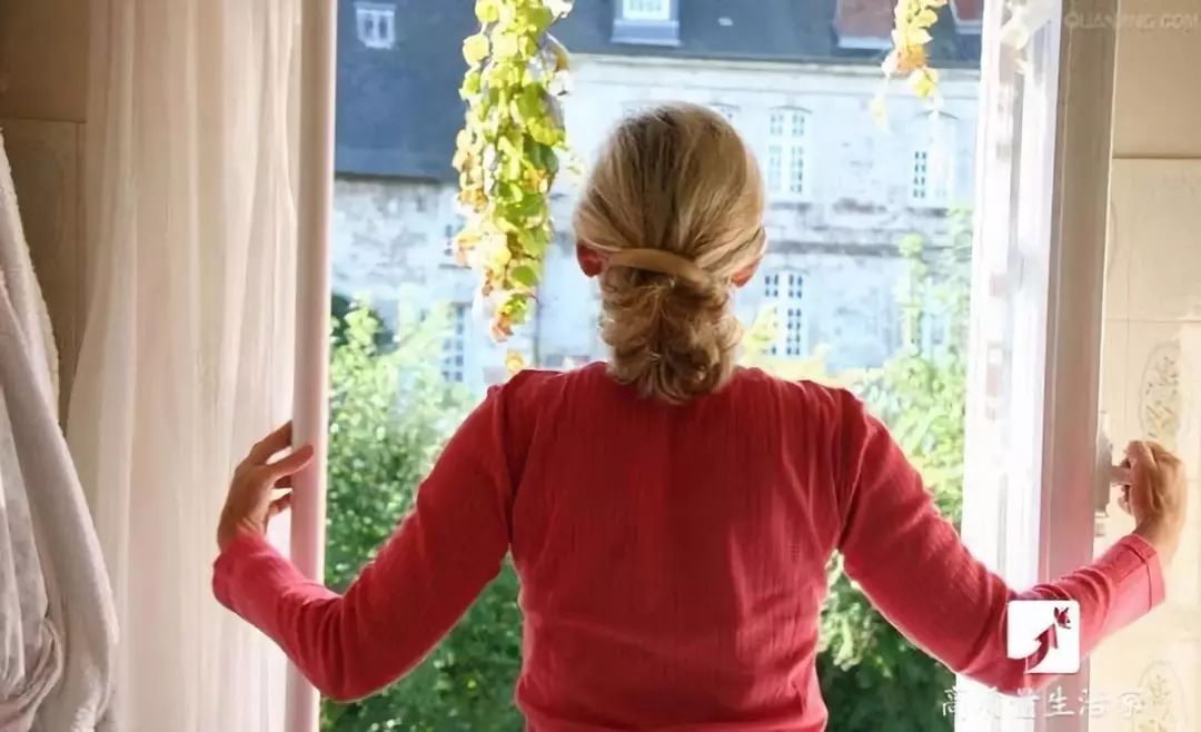 能净化空气吸附甲醛的植物有哪些,吸甲醛最好的植物排行榜