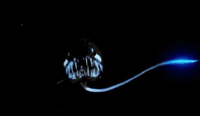 bbc经典必看十大纪录片,bbc十大经典纪录片9.9