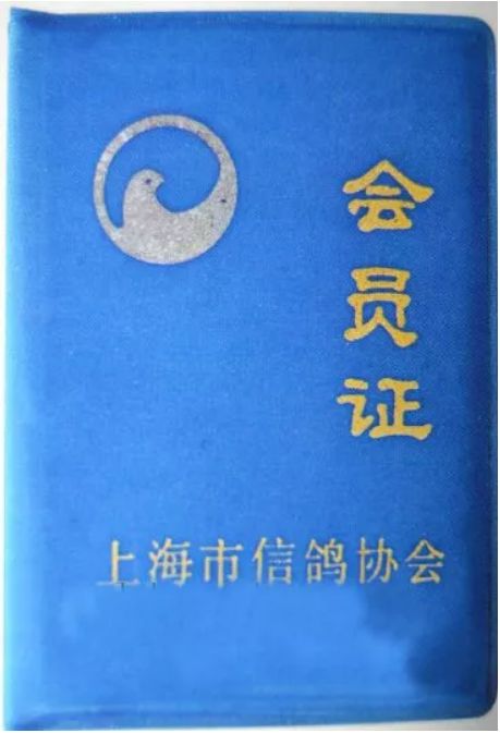 上海养鸽人视频,养鸽子上海人
