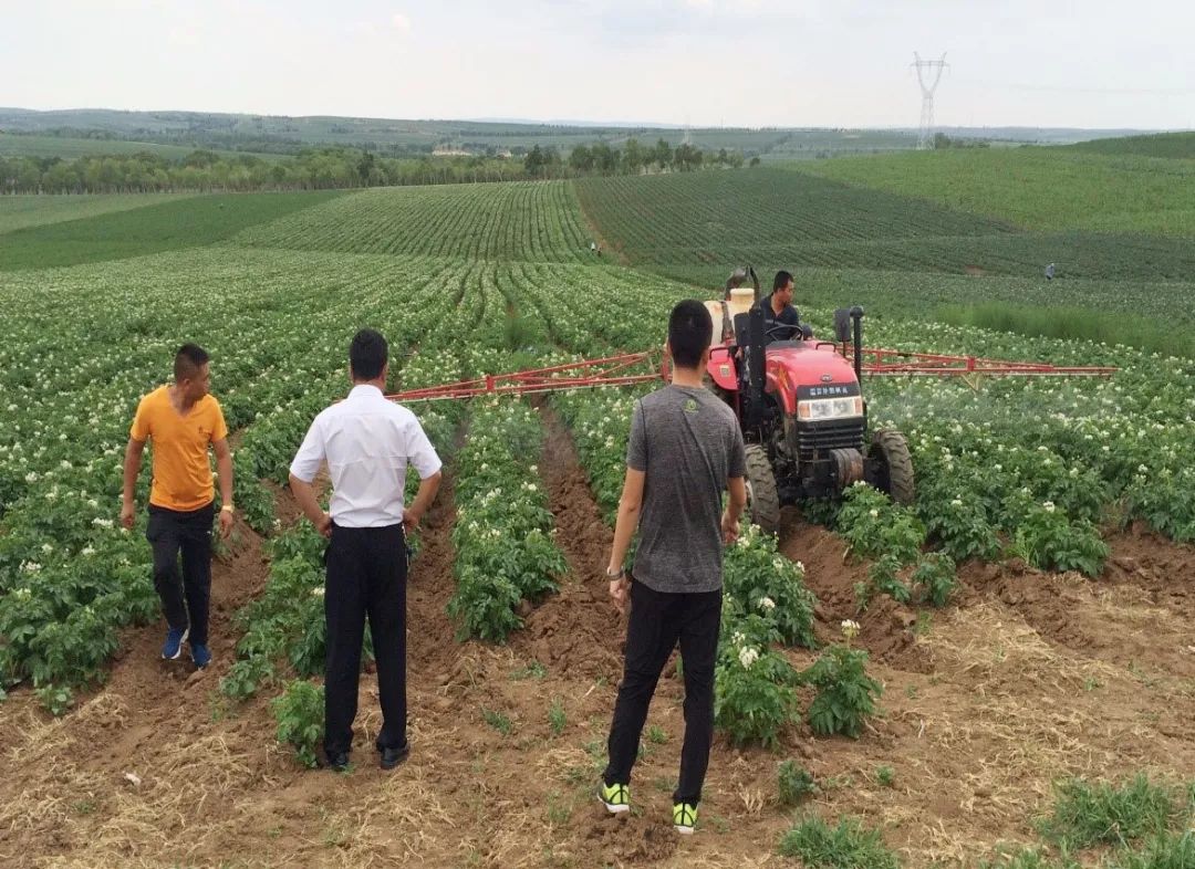 达科宁杀菌剂,达科宁百菌清杀菌剂