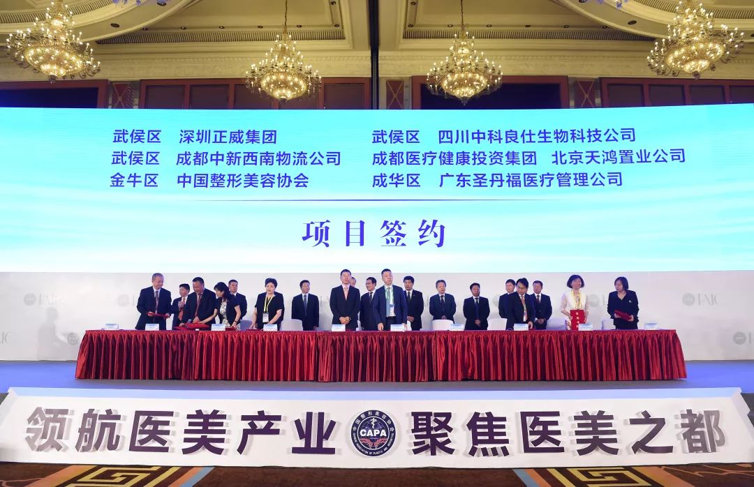 整容机构哪家强,全球整容业