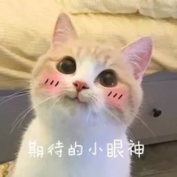 雄安博物馆,三大博物馆雄安