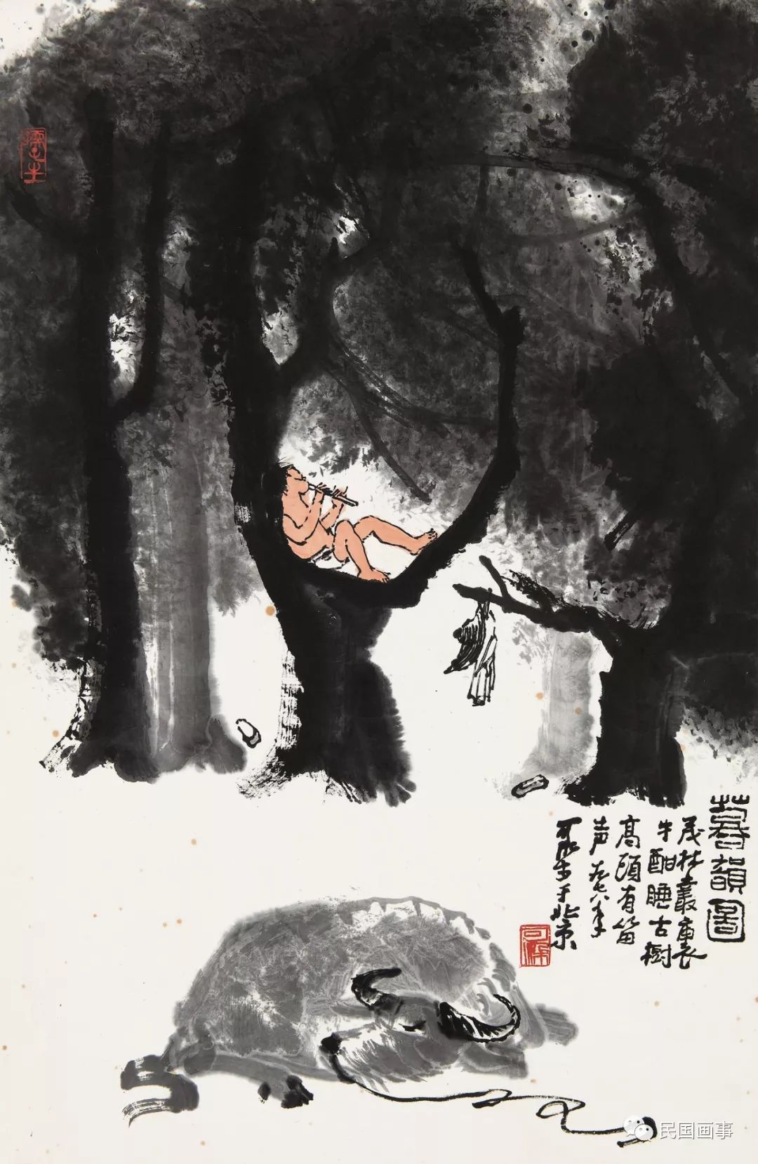 为什么要去武大看樱花,为什么要去日本看樱花