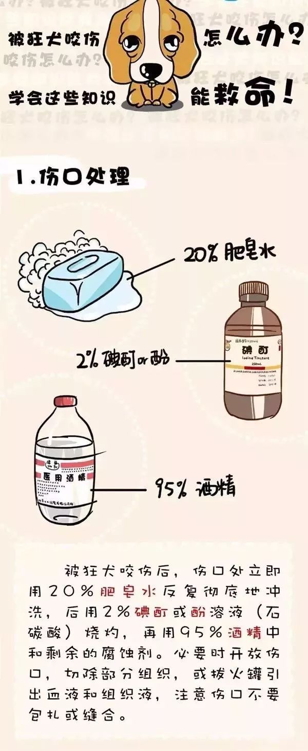 可怕疯狗咬伤多人警方紧急出动,疯狗咬伤6人