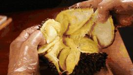 泰国回来得了白血病,泰国旅游回国后确诊淋巴瘤