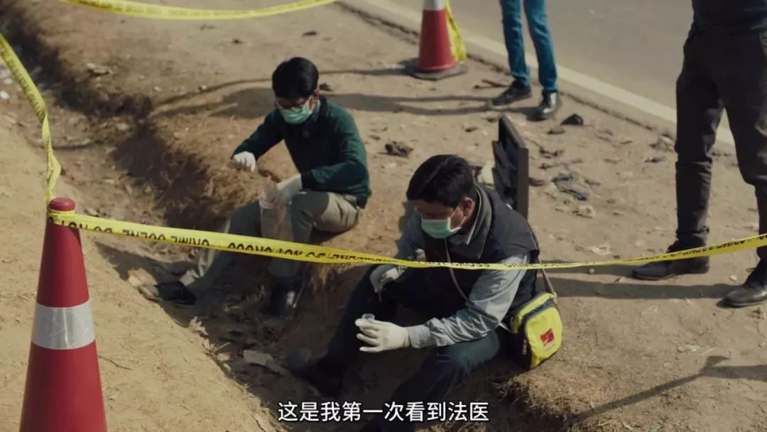 烂番茄98年度最佳动画,烂番茄新鲜度100%的电影有哪些