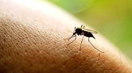 出门玩一圈回来浑身瘙痒,防蚊喷雾驱蚊止痒