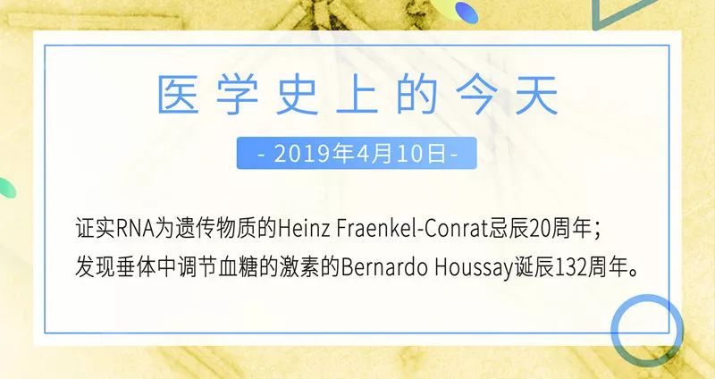 欲速则不达训练方法,老年人亚临床甲减能自愈吗