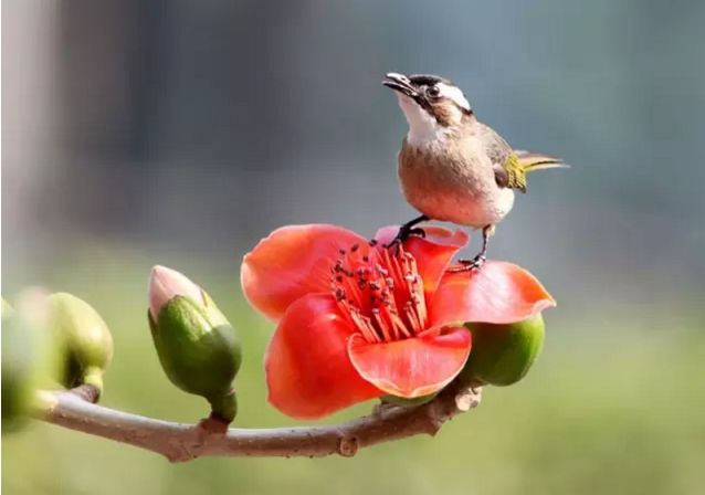 不可不听的音乐,不可不听的歌
