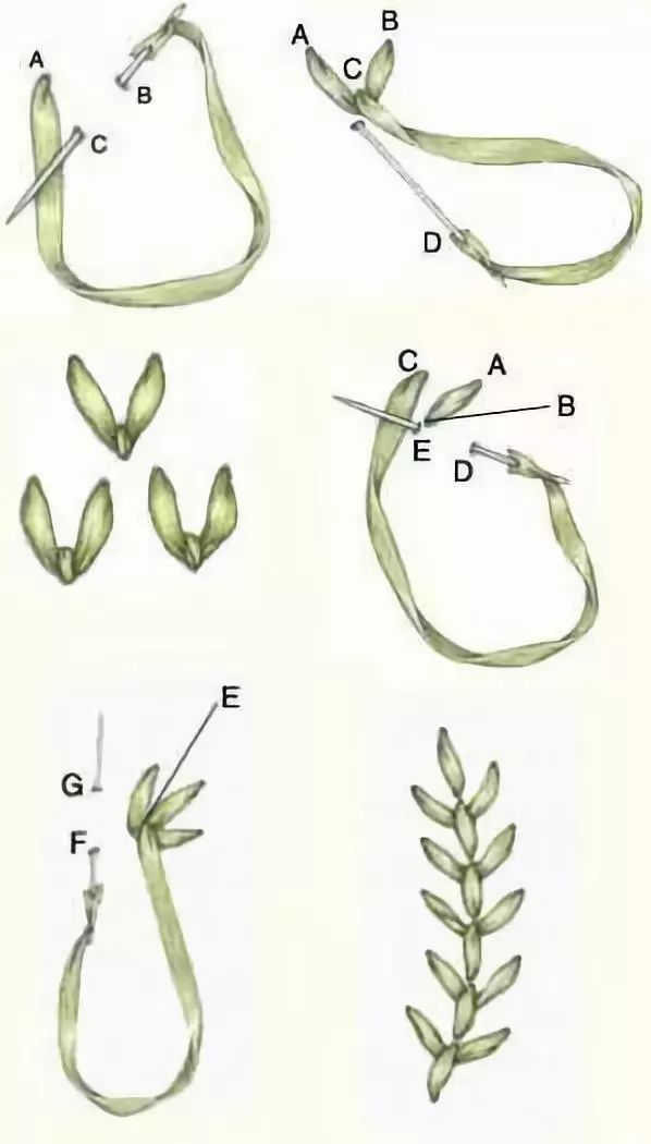 抱枕买个纯色的就够，这样缝几针，要多美有多美！