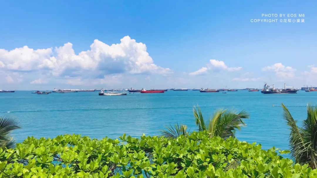 真香原版图片大全,新加坡图文旅游攻略