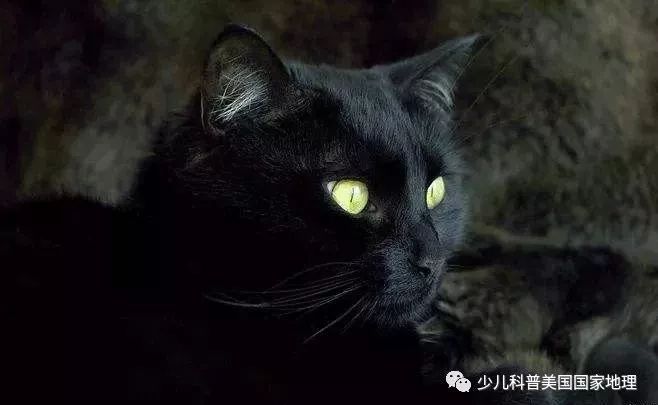 运气到底是科学还是迷信呢,运势是迷信还是科学