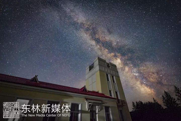 东林发信,东林大佛一封信