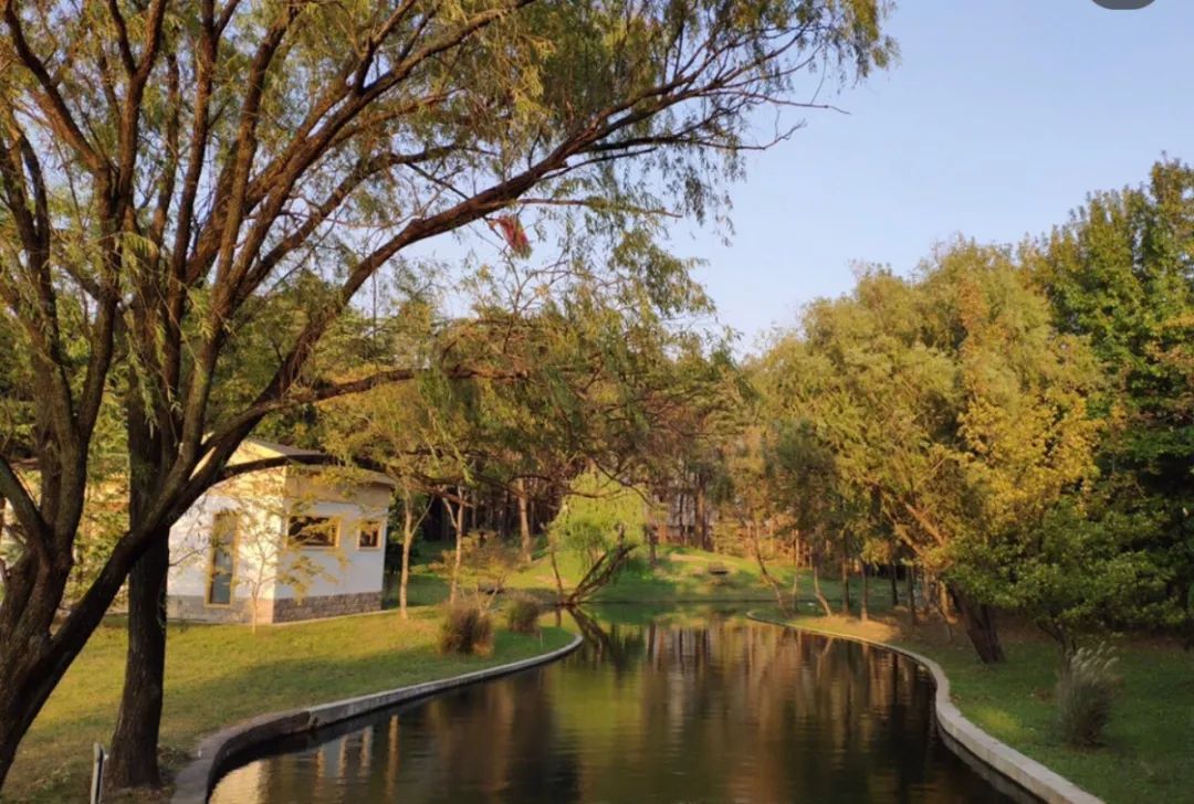 上海魔都景区,上海魔都必去景点免费