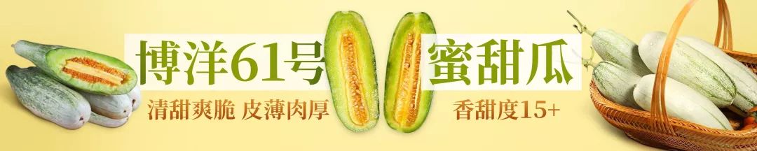 妇科疾病与内裤有关吗,女性经常有妇科病穿牛仔裤好吗