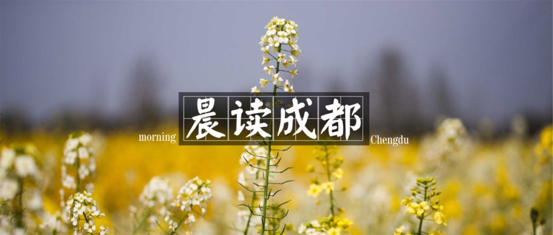 晨读清晨天气格外晴朗,今日成都的大风