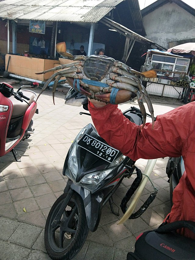 巴厘岛阿勇河漂流自由行,巴厘岛佩尼达岛浮潜视频