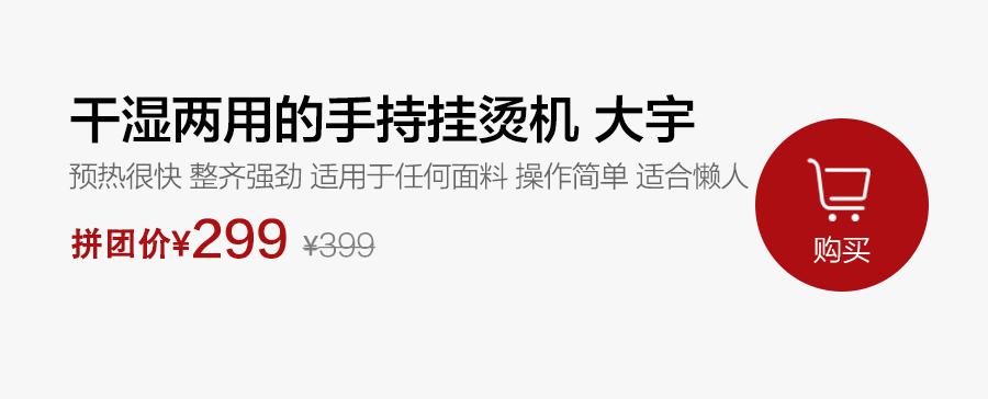 熨烫机家用小型拼团,挂烫机拼团