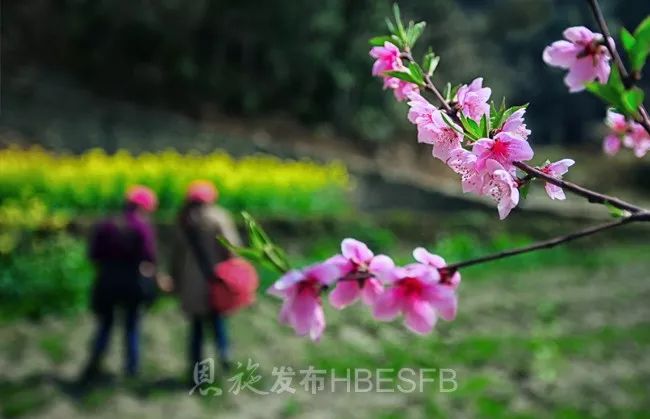 游恩施的攻略有哪些地方可以玩,恩施游玩哪些地方值得去玩