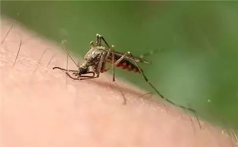 南宁疫情最新消息旅游攻略,南宁疫情期间旅游须知