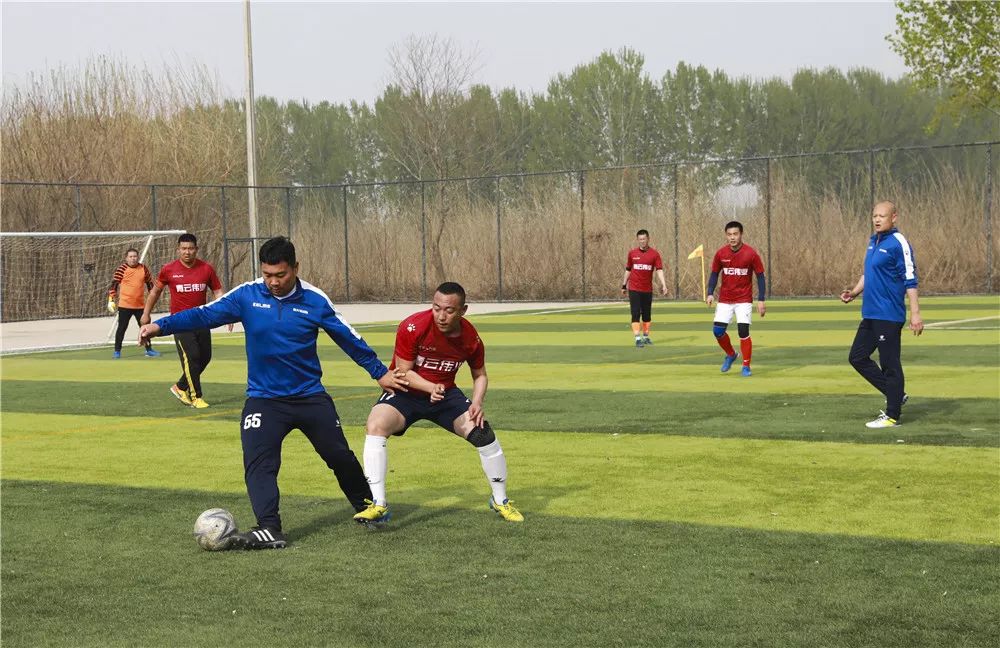 青超排名,青超四强队