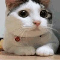 骑电动车知道的交通规则,明光市禁行电动车