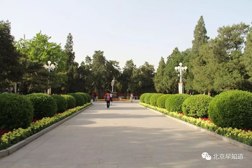 北京怎么治过敏鼻炎 (在北京过敏鼻炎哪里看有效)