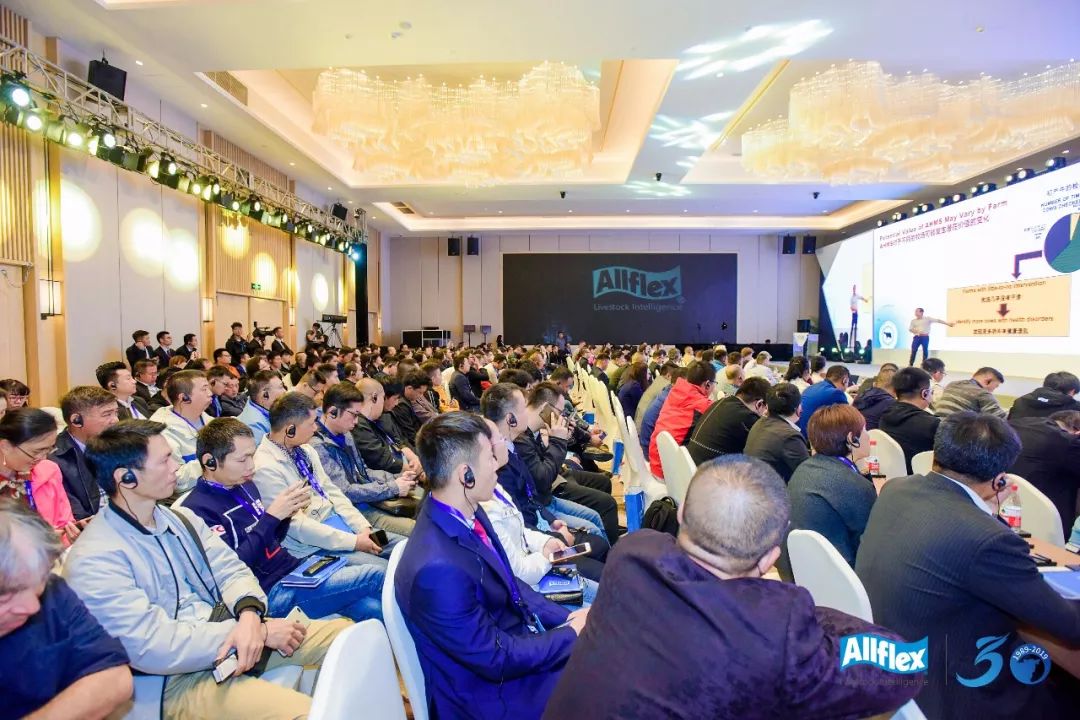 大数据万万没想到,万万没想到深度解析