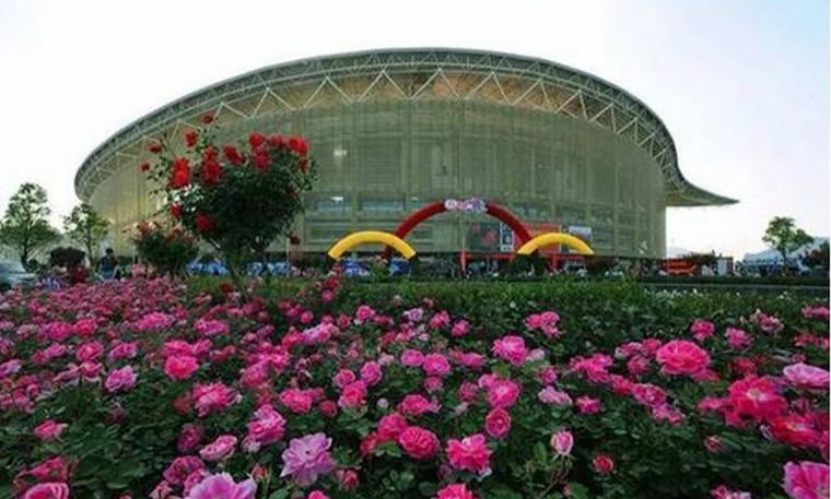 大美南阳月季盛开,南阳月季之乡标志图片