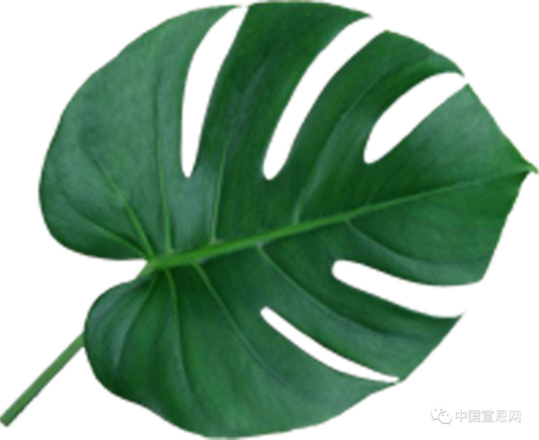 世界500强争抢的地方,世界500强房东排名