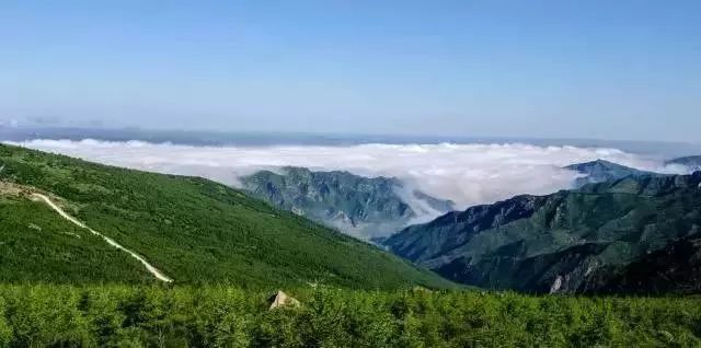 旅发大会沽源,张家口沽源旅发大会