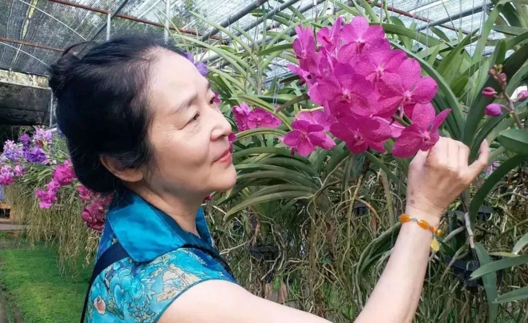 喜煞了！中国大妈外出旅游标准动作合辑！一招大雁南飞炫翻天！