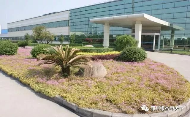 追梦长三角第二站丨“问道”无锡，邳州对标谋发展！