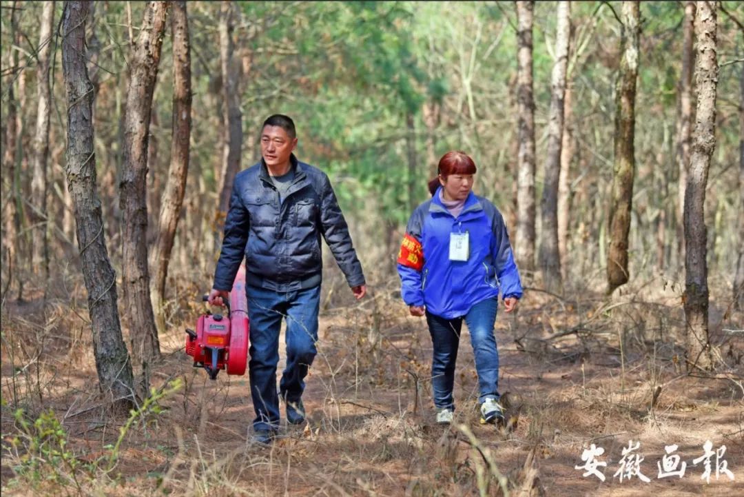 安徽道德模范人物事迹,安徽道德模范