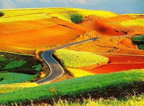 5月东川红土地旅游攻略,旅行记五彩斑斓的东川红土地