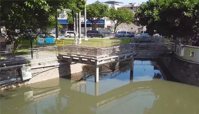 【创文百科】让河道“一键美颜”，番禺钟村有妙招