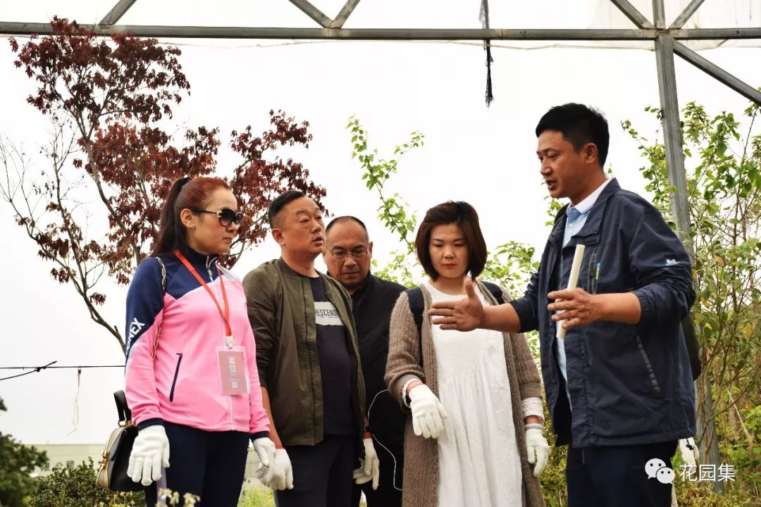 庭院自动喷灌效果图,地埋式喷灌庭院