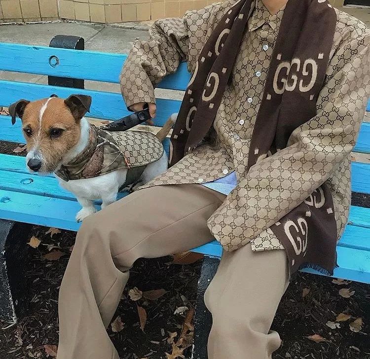 买假名牌的女孩,买假货的女生