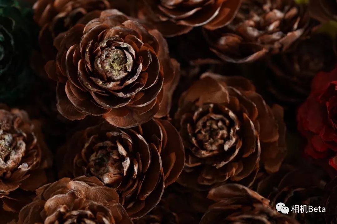 鍥句附11-16f2.8闀滃ご娴嬭瘎,鍥句附寰窛闀滃ご