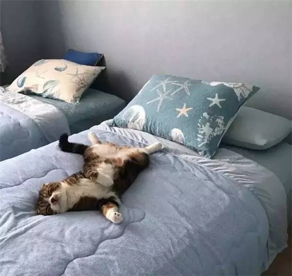 miniso价格离谱的东西,miniso价格标签是什么材质