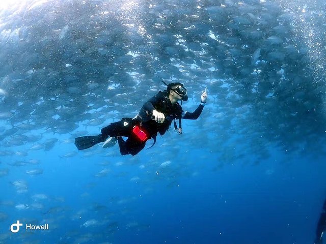 越南越美自由行攻略,去越南最好的攻略