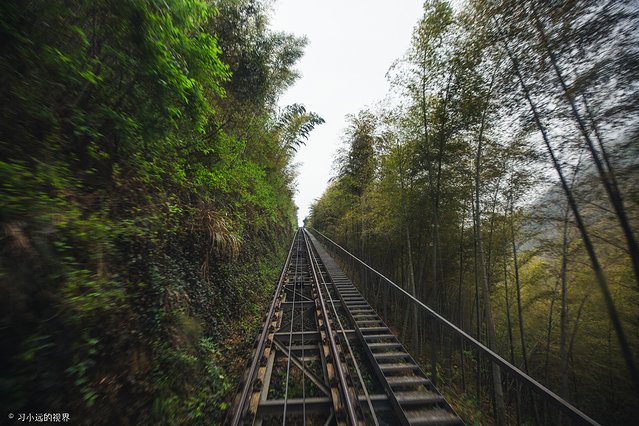 天目湖南山竹海三黑三白,南山竹海加天目湖二日游