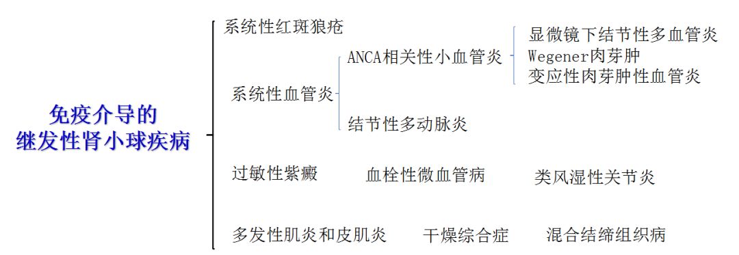 科普肾脏,医学科普出汗和肾脏关系