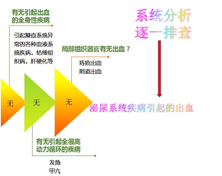 科普肾脏,医学科普出汗和肾脏关系