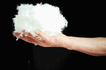 亨利领冬款,穿上就有肌肉感的亨利衫